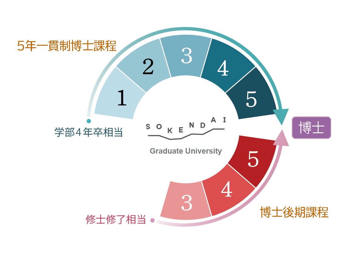 5年一貫性博士課程
