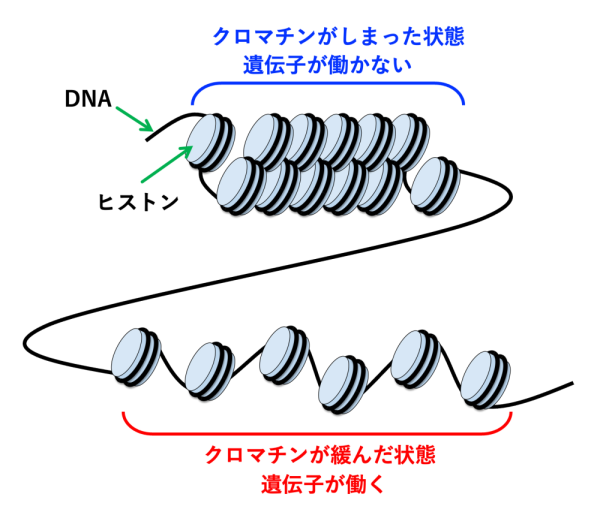 図1
