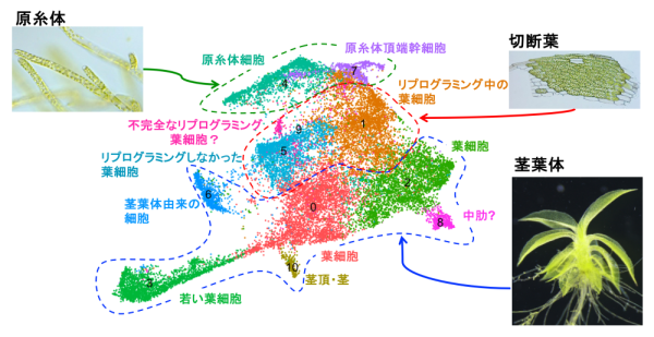 図3