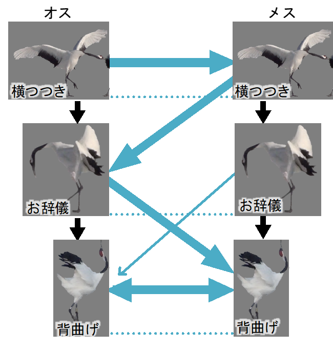 図３