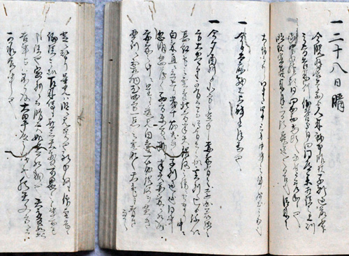 Figure 2. The diary of the Higashi-Hakura family