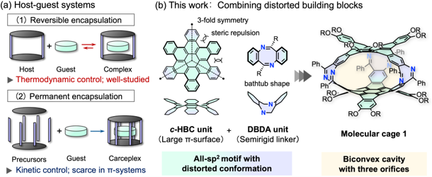 Figure 1. Two modes of guest encapsulation in host–guest chemistry and the molecular design developed in this study. (a) Reversible encapsulation and permanent entrapment. (b) Design of a molecular cage from curved panel molecules (c-HBC) and bent bridging units (DBDA).