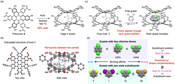Figure 2. Synthesis of the molecular cage and reversible encapsulation of guest molecules. (a) Synthesis of molecular cage (host) 1. (b) Structure of host 1 predicted by quantum-chemical calculations. (c) Reversible guest encapsulation (illustrated with an ortho-dichlorobenzene guest). (d) Differences in binding affinity according to guest shape.