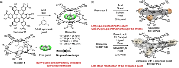 [Press Release] Researchers Develop “Molecular Armor” to Trap Shape ...