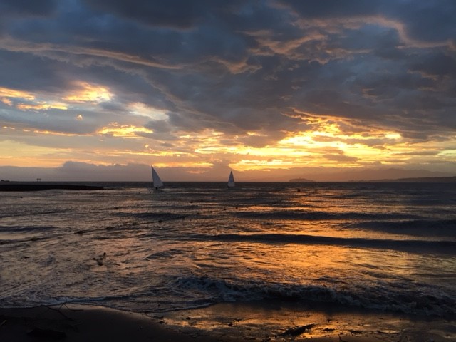 Photo-1) Hayama sea just after a typhoon has passed (taken in the evening on August 22, 2016).