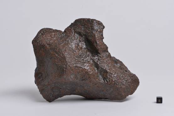 長良隕石の外観写真（国立極地研究所提供（岸山浩之氏撮影））。画面右下の黒いキューブが1センチ角。