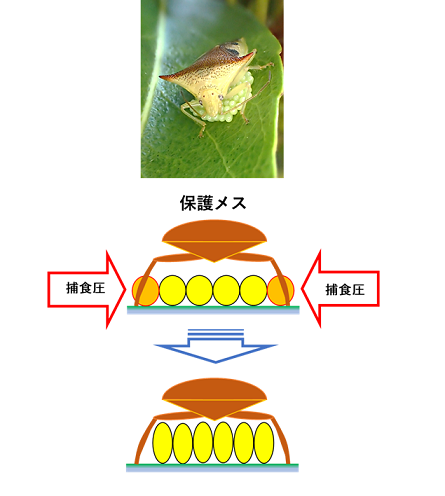 図1