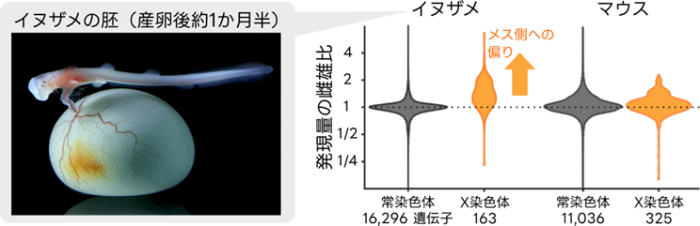 図3