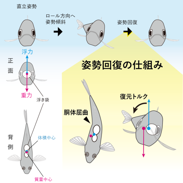図1