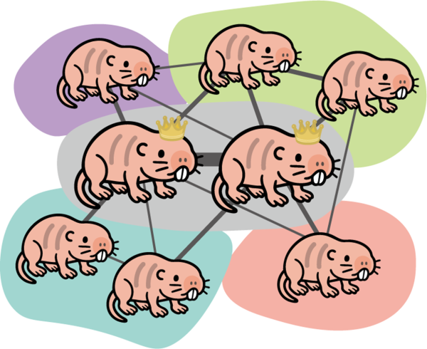 図1