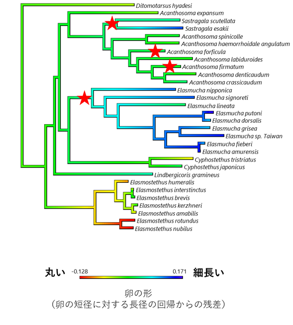 図3