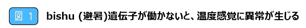 図1