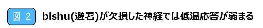 図2