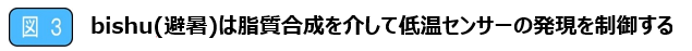 図3