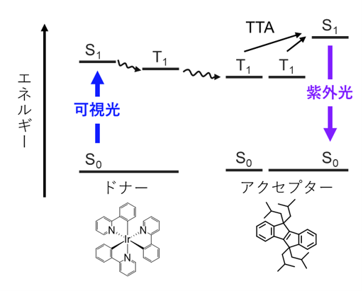 図１