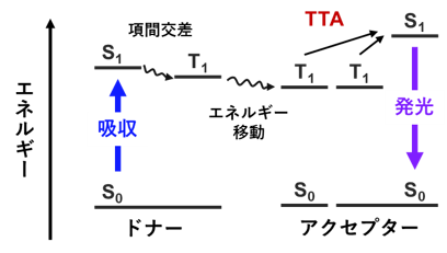 図３