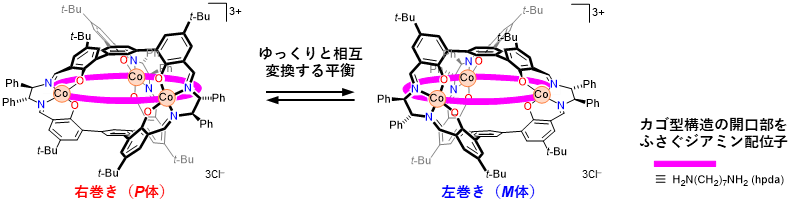 図２