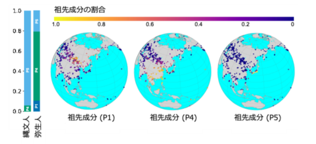 図３