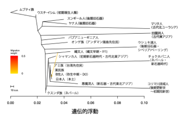 図４