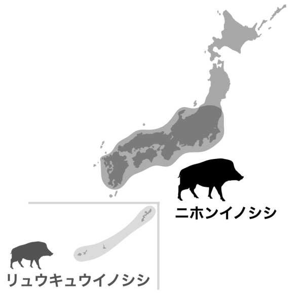 図１