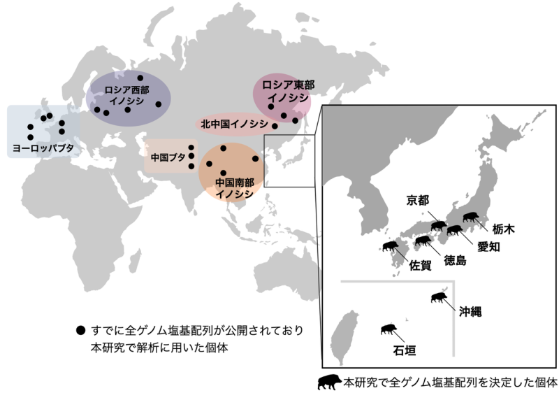 図２