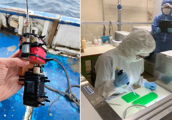 Fieldwork involving archaeo-logical artifacts and evolutionary process investigations