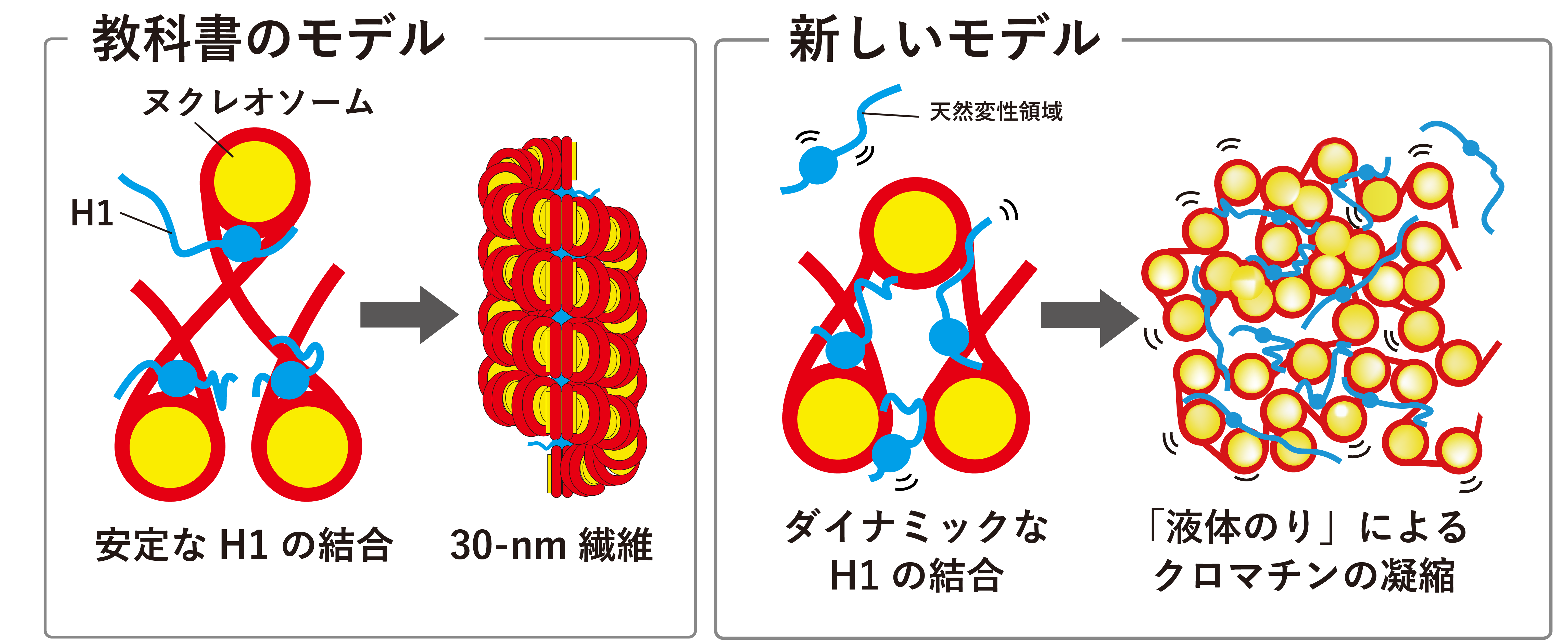 research_thumbnail